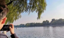 舟舟吃瓜真人,揭秘娱乐圈背后的真实人生