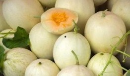 白洋瓜是白兰瓜吗怎么吃,美味瓜果的多样食用方式